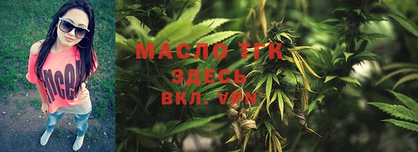 гидра Бородино