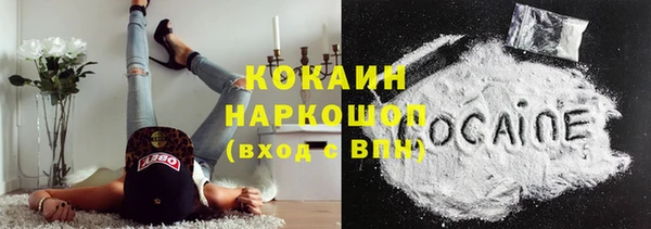 гидра Бородино